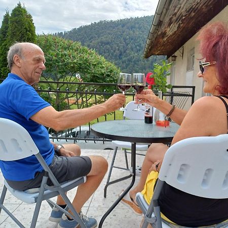 Apartma Ginga Osilnica Εξωτερικό φωτογραφία