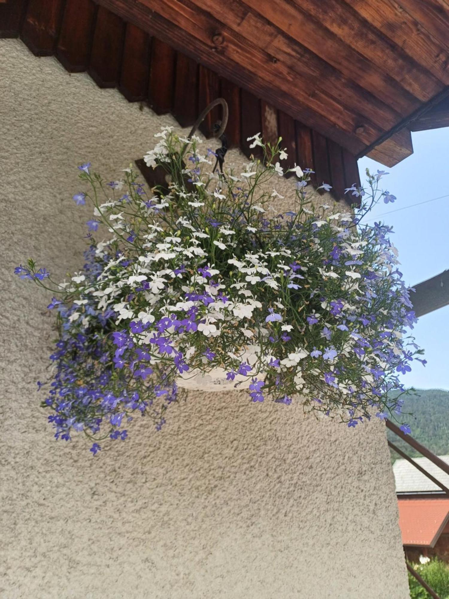 Apartma Ginga Osilnica Εξωτερικό φωτογραφία